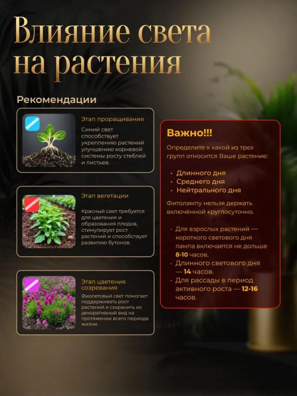 Фитолампа для растений M2324 — изображение 4