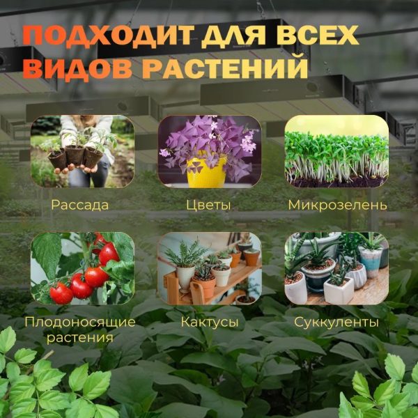 Фитолампа для растений M2611 — изображение 10